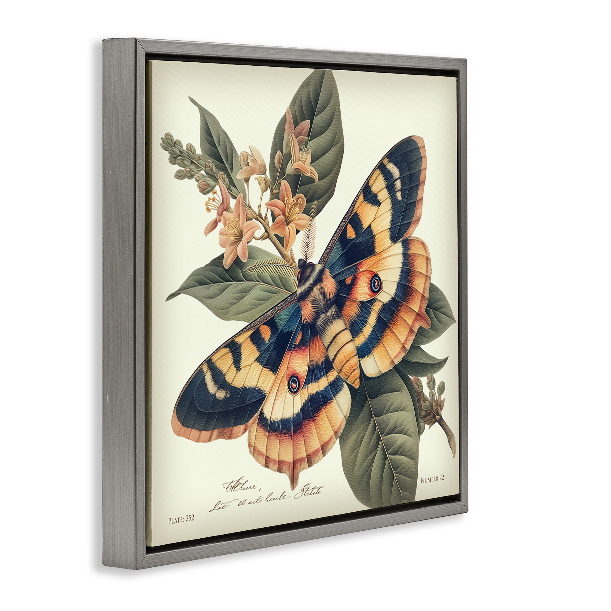 Stupell Industries Detailed Moth & Lilies Animals Painting Gray Floater Framed Canvas Art Print Wall Art, 18 x 18