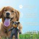 thumbnail image 4 of Unbreakable Bear Dog Toy, 2025 New Unbreak Bear, Unbreaka Bear for Aggressive Chewers, Indestructible Bear Dog for Heavy Chewers Large Dogs Large blue denim beggar bear + [pet toy squeaker sound] 30cm, 4 of 5