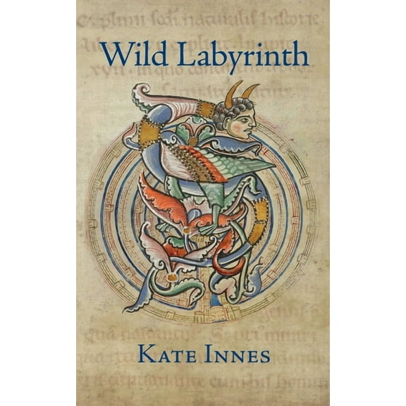 Arrowsmith Trilogy Wild Labyrinth, Book 3, (Paperback)