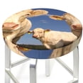 thumbnail image 3 of Naloa Cows Cattles Round Bar Stool Cushion Cover 12-14 inch, Fits Kitchen, Office, Restaurant Chairs - 12 inch, 3 of 7