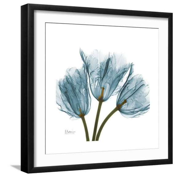 Art.com Tulips Blue Premium Giclee Print by Albert Koetsier, Black Frame Wall Art, 21" x 21"