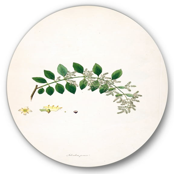 Designart 'Ancient Plant Life XVIII' Farmhouse Circle Metal Wall Art 36x36 - Disc of 36