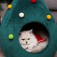 thumbnail image 3 of Cama para gatos, camas navideñas lavables para perros, cama para mascotas, sofá para perros, sofá para gatos, lugar para dormir, estera para perros y gatos, 3 of 6