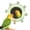 Green, variant on Bird Mirror Toys for Cage Parakeet Rotating Sound Wheel Toy,Budgie Training Colorful Interactive Chew Toys for Canaries Lovebirds Conures Cockatiels.