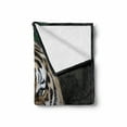 thumbnail image 2 of African Soft Flannel Fleece Throw Blanket, Tiger Face with Roaring Wildlife Safari Savannah Animal Nature Zoo Photo Print, Cozy Plush for Indoor and Outdoor Use, 50" x 70", Multicolor, by Ambesonne, 2 of 6