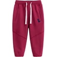 thumbnail image 5 of Pantalones deportivos de algodón para niños y niñas, pantalones deportivos con diseño de dinosaurio de dibujos animados para niños de 2 a 7 años, 5 of 5