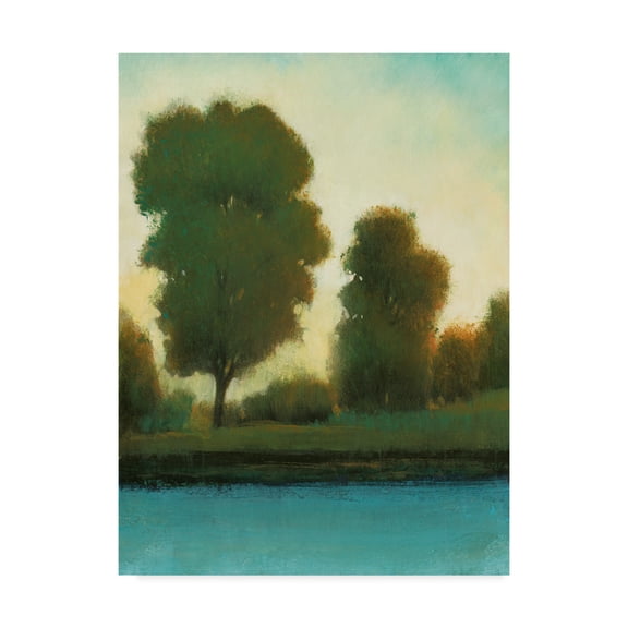 Trademark Fine Art 'Quiet Moment I' Canvas Art by Tim OToole
