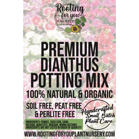 Dianthus Premium Potting Mix