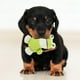 thumbnail image 4 of Juguete chirriante para perros, juguete de peluche para la dentición, juguete de rana de peluche, juguete para limpiar los dientes de perro., 4 of 8