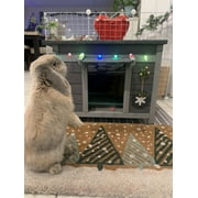 Aivituvin Cat House Waterproof Feral Kitty Shelter Outdoor Indoor Rabbit Hutch for Bunnies,Cats,Dogs and Other Small Animals,Asphalt Roof