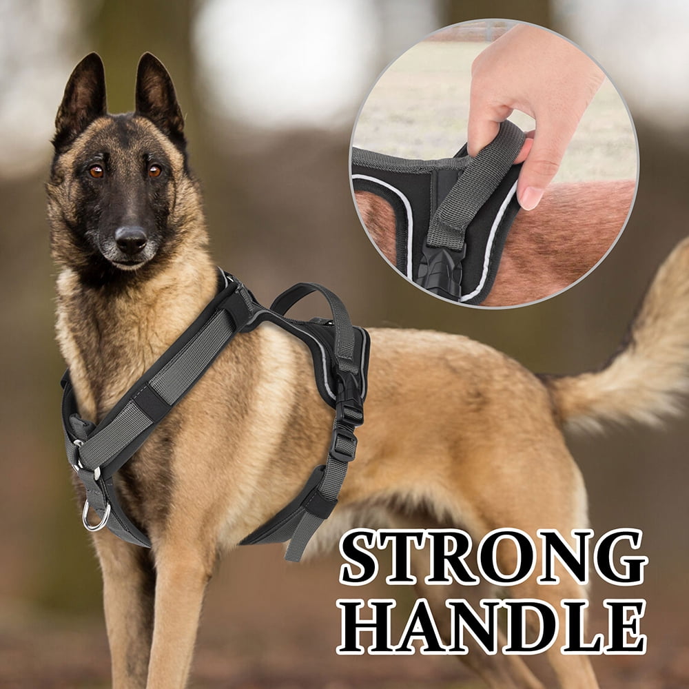 Beirui Reflective No Pull Dog Harness Soft Padded Adjustable Training Vest With Handle & 2 Leash Clips
