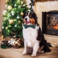 thumbnail image 3 of Collar navideño para perros PTDECOR con lazo a cuadros para perros medianos, 3 of 5