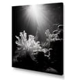 thumbnail image 2 of Designart "Monochrome Coral Plant Beauty II" Coastal Coral Under Water Canvas Wall Art, 2 of 7