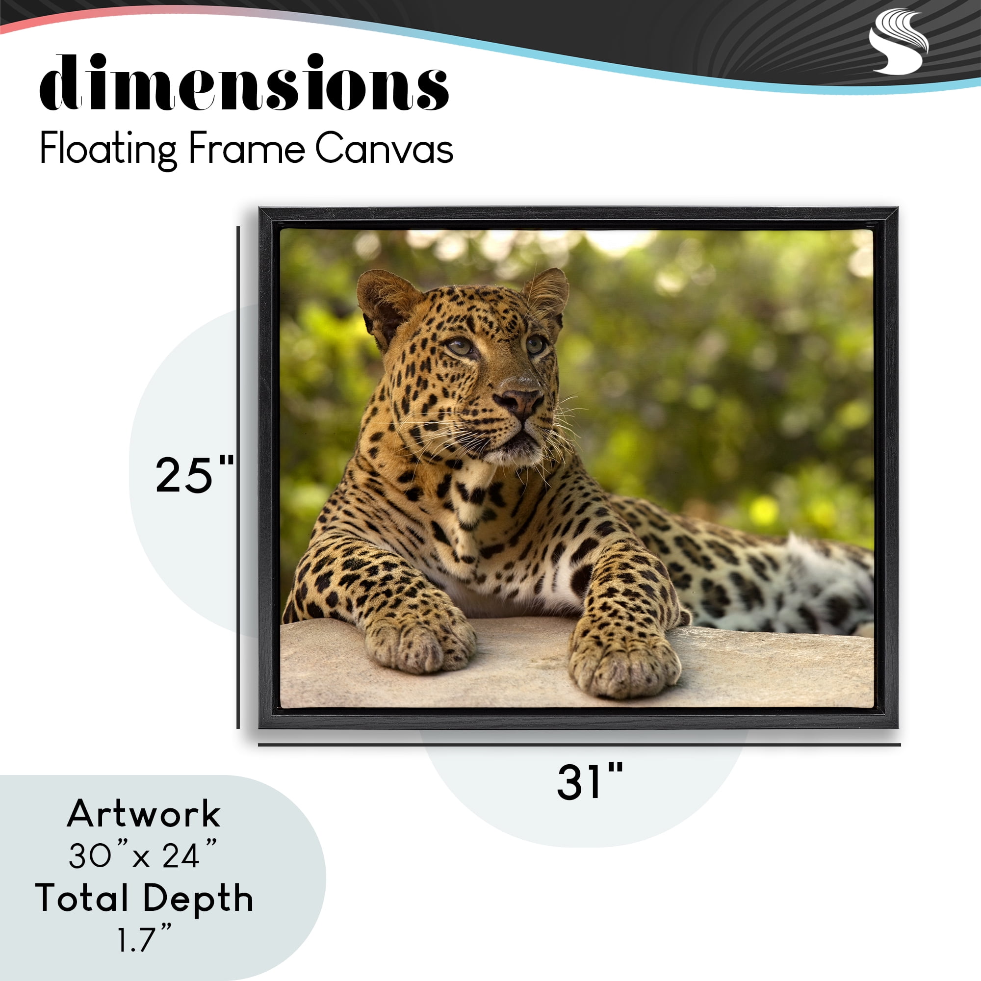 Leopard Gazing Relaxation Black Framed Floater Canvas Wall Art, design by MJ Photography