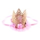 thumbnail image 1 of Baby's First Birthday Crown Rose Flower Encaje de malla Tocado Baby Girl 1st Birthday Hat Artículos de fiesta Sombrero de cumpleaños Photo Prop Diademas Accesorios para el cabello (rosa claro), 1 of 5