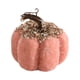 thumbnail image 2 of Decoración de mesa de otoño de calabaza de franela de 9 x 9 cm Centro de mesa decorativo para Rosa, 2 of 9