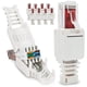 thumbnail image 2 of 100 x Conectores de Red Sin Herramientas RJ45 CAT6 LAN UTP Cable Plug Sin Herramientas Cat5 Cat7 Cable, 2 of 9