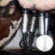 thumbnail image 1 of unbranded Accesorio Para Ordeño Con Succión Estable De Silicona Para Máquina De Vacas En Granja, 1 of 8
