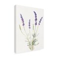 thumbnail image 2 of Danhui Nai 'Floursack Lavender IV on Linen' Canvas Art, 2 of 4