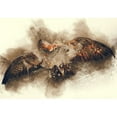 thumbnail image 2 of wall26 - Abstract Illustration of Flying eagly. Paint Sketch Art with Splatters. - Removable Wall Mural | Self-Adhesive Large Wallpaper - 100x144 inches, 2 of 6