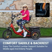Addmotor Electric Trike for Adults, 750W, Folding Electric Tricycle, 48V 20Ah, 90MI, 380lbs, 3 Wheel Electric Bikes, Step Through Etrike, Parking Brake, Rear Motor & Differential, E-310 Plus Green