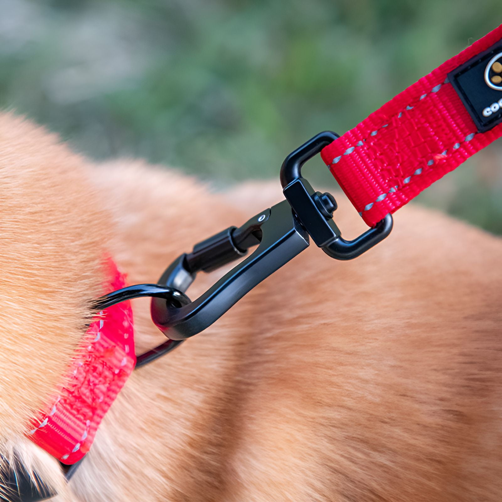 GASTROPOD 2Pcs Dog Leash,Dog Training Leash,Dog Leash Retractable,Colormixing1,0.82ft