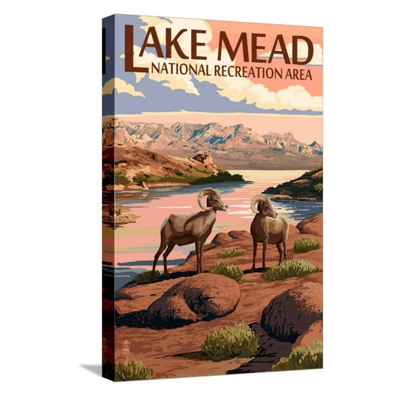 Art.com Lake Mead - National Recreation Area - Bighorn Sheep Stretched Canvas Print Wall Art by Lantern Press, 12" x 18"