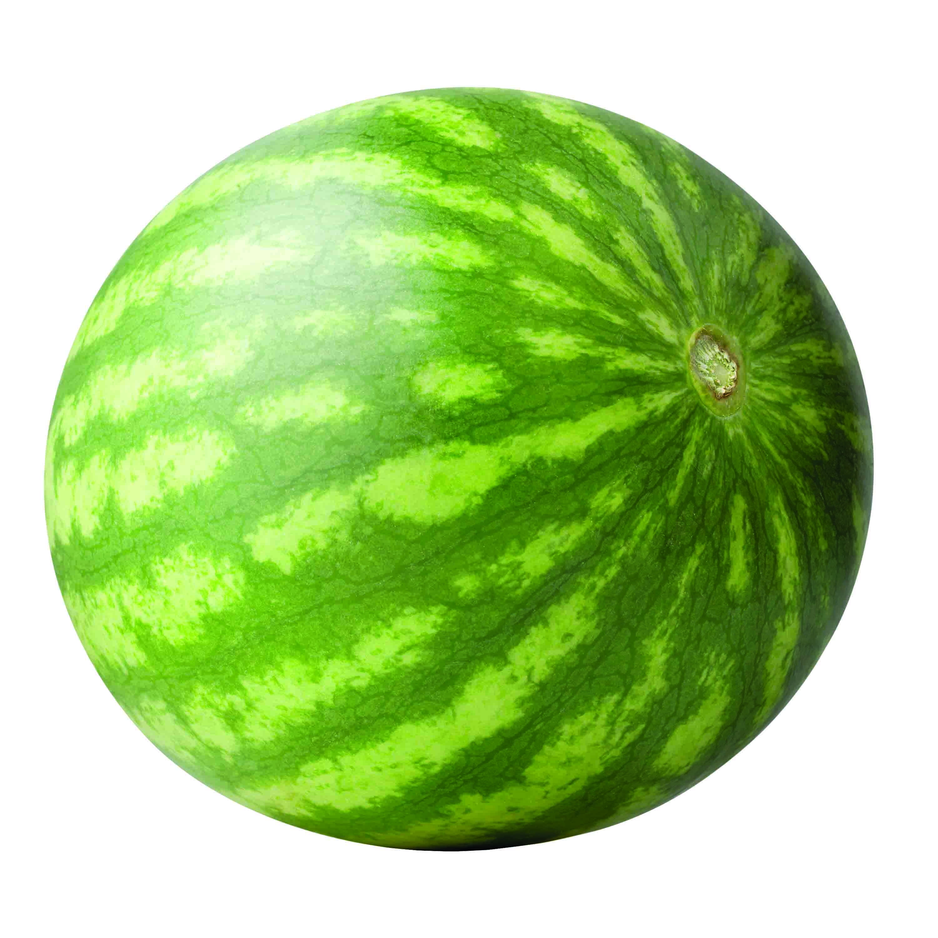 Watermelon, Mini Seedless