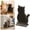 Coffee, variant on Cat Self Groomer Corner Massage Brush, Wall Mounted Cat Grooming Tool for Loose Hair Removal, Comfortable Brush for Long Short Hair Cats, Easy Install Clean Pet Shedding Grooming Accessory