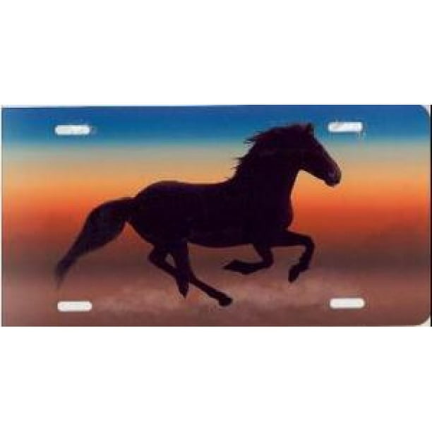 Plaque d'Immatriculation Couleur du Mustang