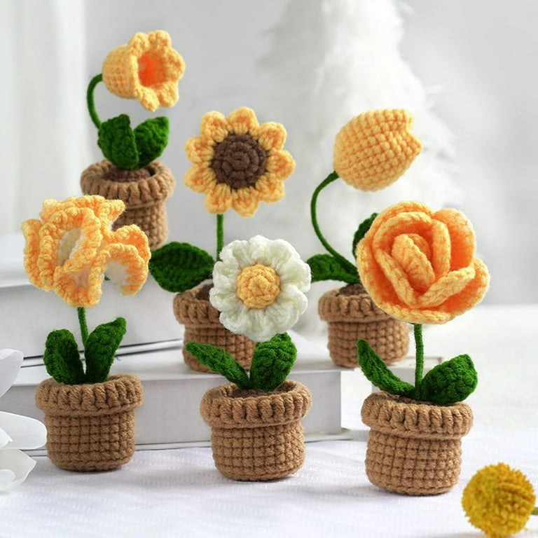  TEHAUX 2 Sets Crochet Kit for Beginners Crochet Flowers for  Adults DIY Kits White Yarn Knitting Kit Fresh Flower Bouquet Suit Crochet  Bouquet Kit Crochet Kits Blanket Child Animal