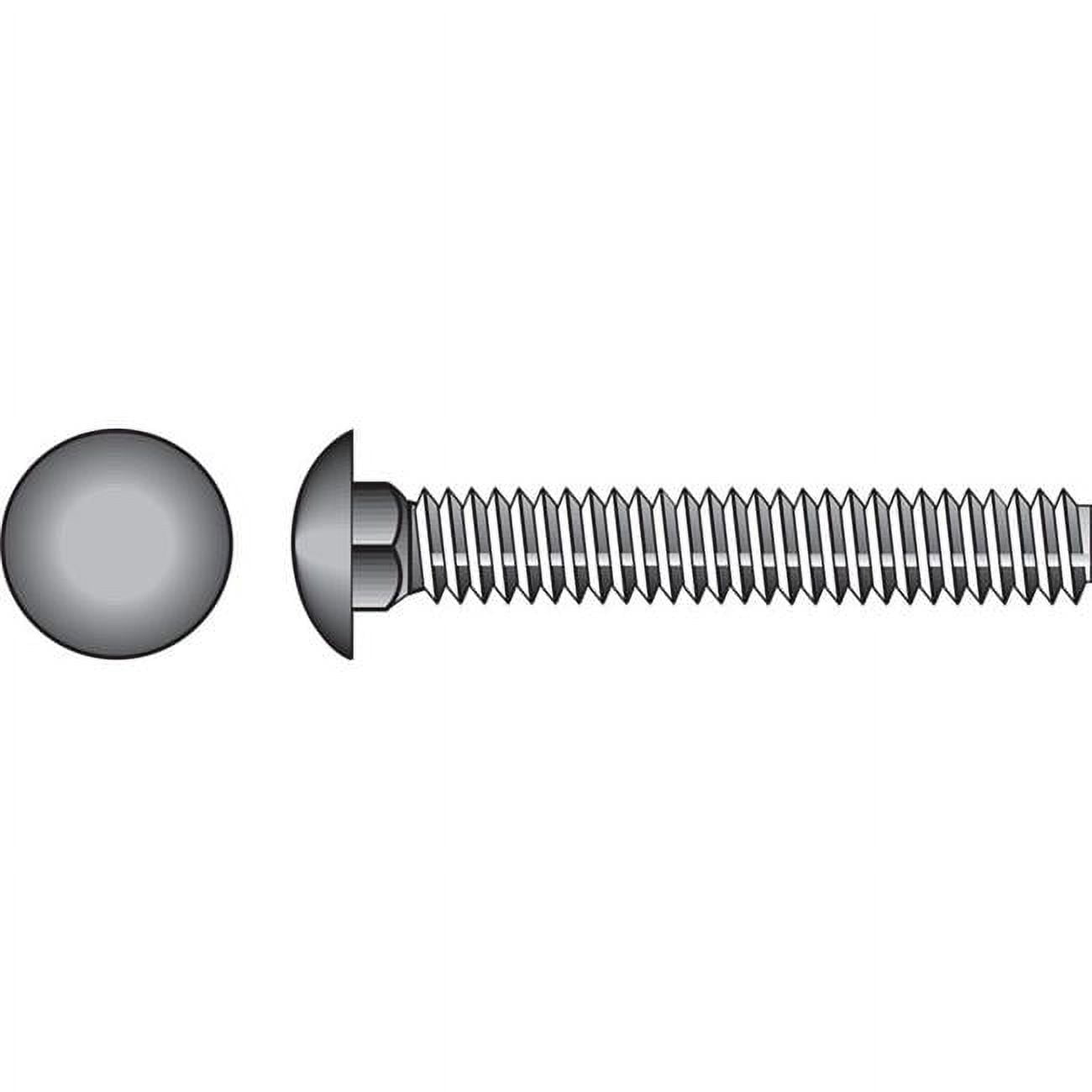 Hillman 59210 0.375 in. Dia. x 1.5 in. Stainless Steel Carriage Bolt - Pack of 25