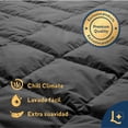 thumbnail image 4 of Cubrecolchón Laila Suave Cubrecolchon Antiacaros Cloud Sleep  Matrimonial, 4 of 8