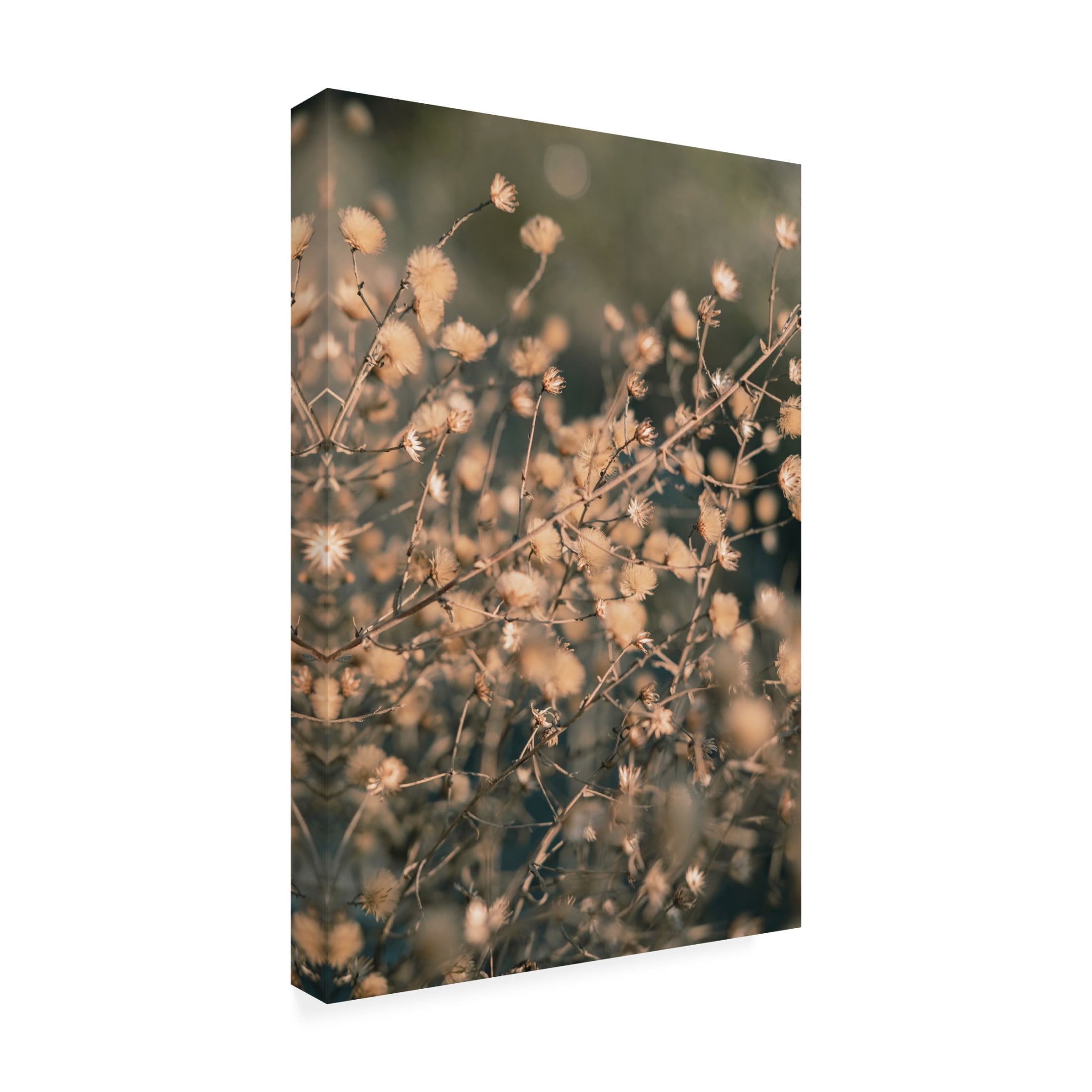 Pictufy Studio III 'Beach Flowers 3' Canvas Art - 22 x 32 Inches