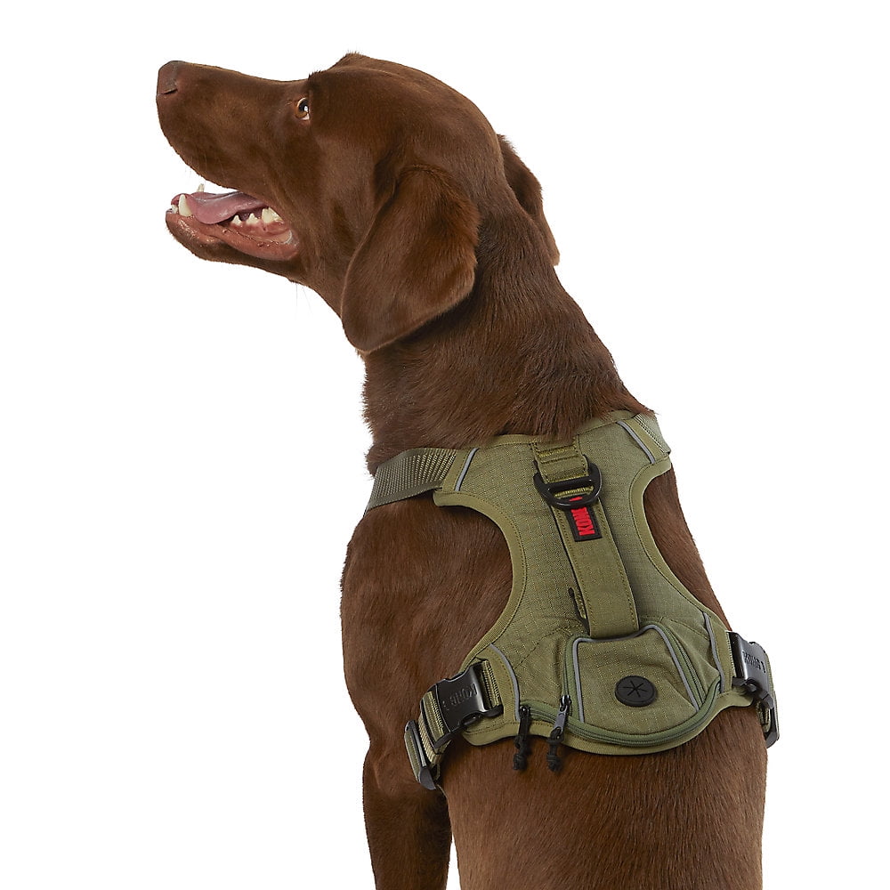 Kong padded dog harness online