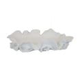thumbnail image 2 of 20 Inch Clam Shell Tabletop Decorative Bowl, Asymmetric Shape, White Resin, 2 of 5