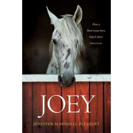 Joey : How a Blind Rescue Horse Helped Others Learn to (Best Places To See Wild Horses In Outer Banks)