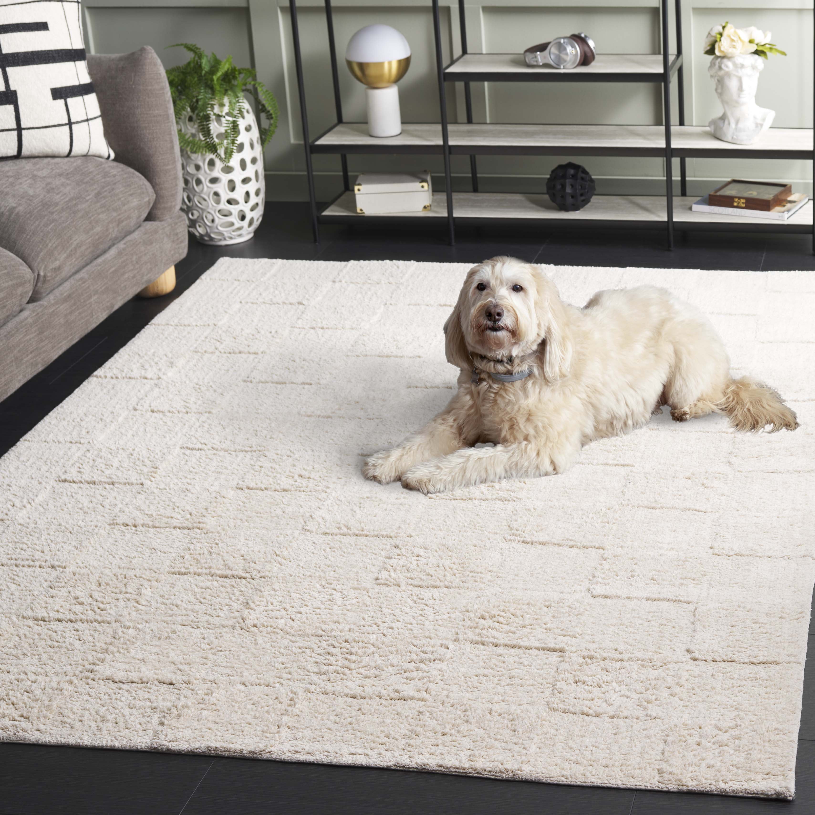 Safavieh Easy Care Coty Checkered Area Rug, Ivory, 6' x 9'