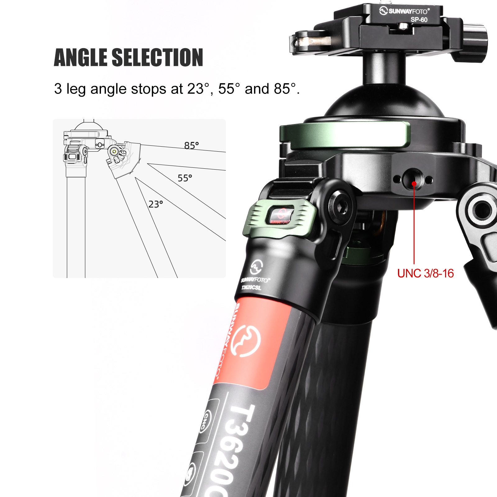 SUNWAYFOTO T3620CSL, 68” Tall Carbon Fiber Tripod with 65mm Hunting Ballhead for Rifle, 36mm Tubes Two Section