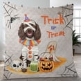 thumbnail image 4 of Trick or Treat Boykin Spaniel Funny Mummy Cosplay Pumpkin Candy Basket Quilt Blanket Dog Lover Cozy Comforter Throw Blanket - 12016, 4 of 5