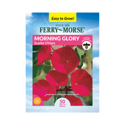 Ferry-Morse 0.72G Morning Glory Scarlet O'Hara Annual Flower Seeds Full Sun