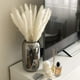thumbnail image 3 of Pampas Grass, Pampas Grass Dried Pampas Grass, 3 of 4