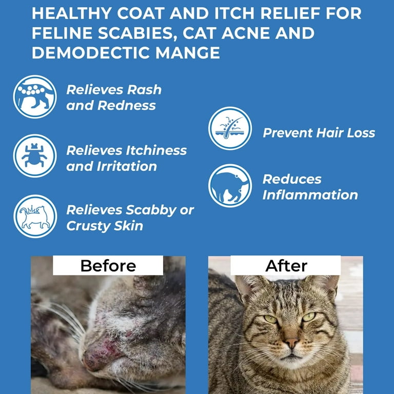 Natural mange treatment for cats sales