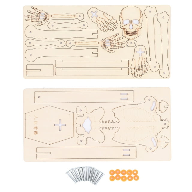 Modelo de ensamblaje esquelético humano de madera compuesta, esqueleto artesanal, juguete educativo para niños