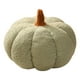 thumbnail image 1 of Almohada Con Forma Calabaza Halloween Forro Polar Peluche (oscuro) Verde, 1 of 9