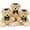 3 Bear-Brown, variant on MorisMos 14'' 2026 Graduation Plush Teddy Bear Stuffed Animal with a Cap