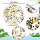 thumbnail image 3 of 2 Pack Inflatable Beach Balls,Summer Swimming Pool Floatable Water Party Games Toys Ball for Kids Adults Boys Girl,Outdoor Lawn Activity Confetti Glit, 3 of 5