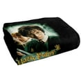 thumbnail image 3 of Harry Potter Chamber of Secrets Poster Officially Licensed Beach Towel 30' X 60', 3 of 6