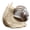large-snail thinking, variant on Snail Miniature Figurine Model Coarse Pottery Ceramics Snail Statue Ornament for Fairys Garden Landscape Decoration