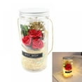 Soap Rose Flower Bouquet And LED Light String In Bottle With Hanging